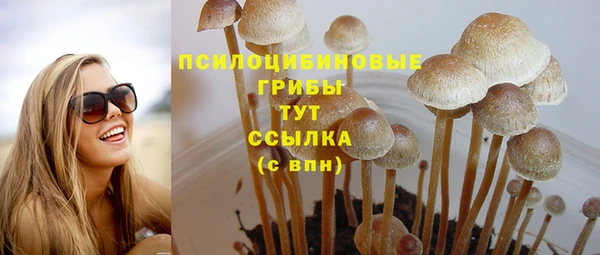 наркотики Бородино