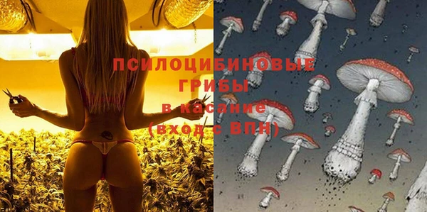 молекула духа Бронницы