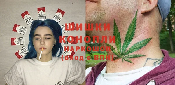 молекула духа Бронницы